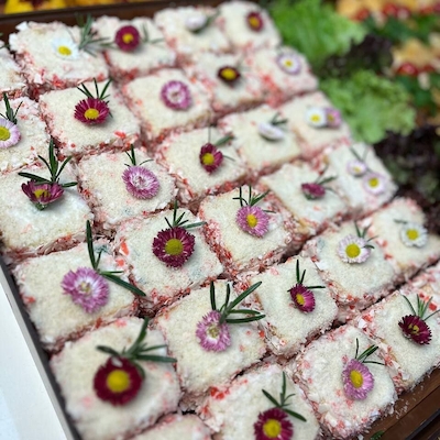 سینی کیک مرغ